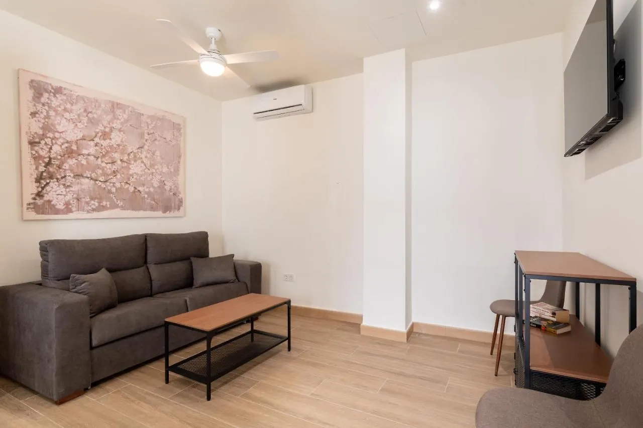 Apartamentos Cervantes 17 Seville 0*,